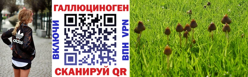 Купить где  Байкальск  Галлюциногенные грибы мухоморы 